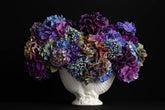 Ebony Hydrangea (Framed)