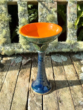 Bird Bath