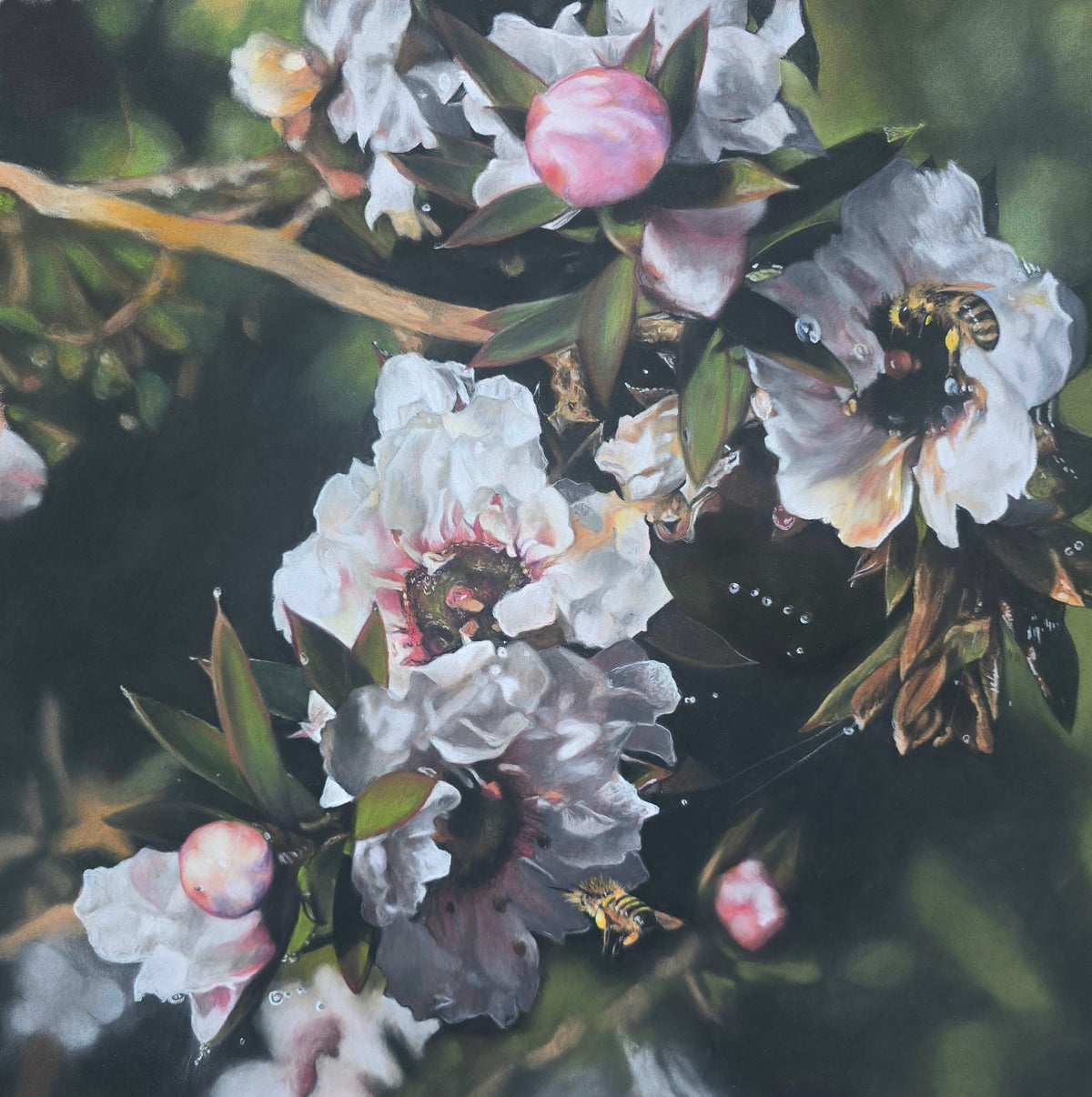 Dewlight