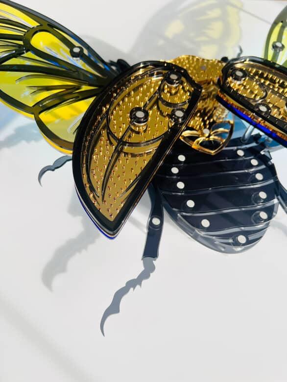 Golden Scarab Beetle