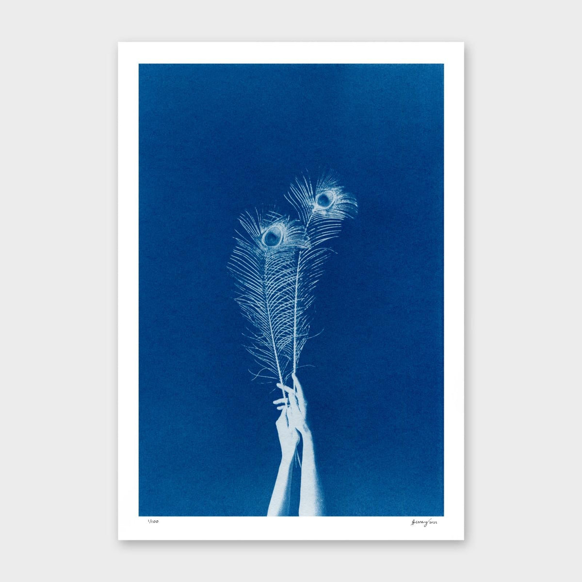 Chiaroscuro Feathers A3