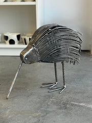 Denis The Kiwi