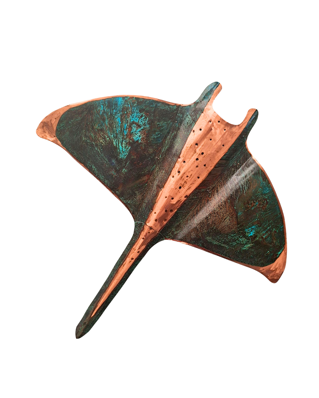 Giant Manta Ray