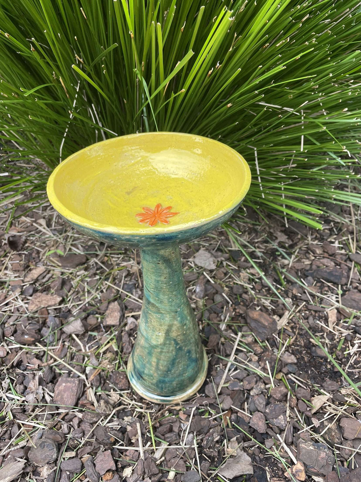 Bird Bath