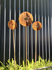 Allium Large
