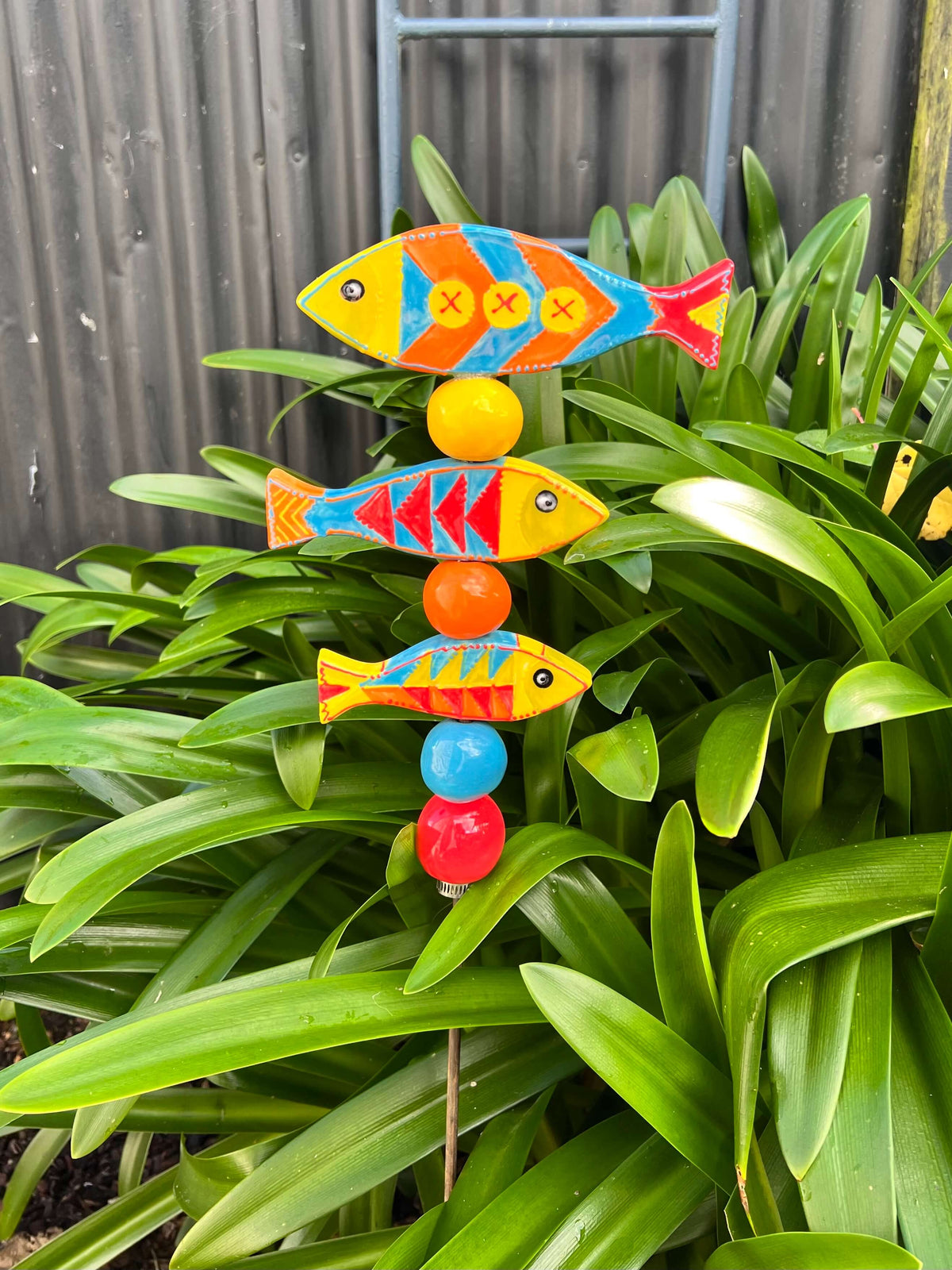 Fish Trio