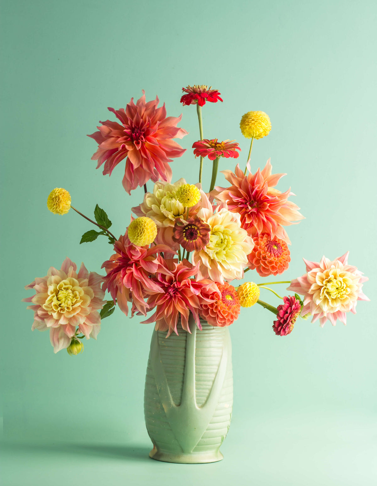 Dahlia Glorious in Green