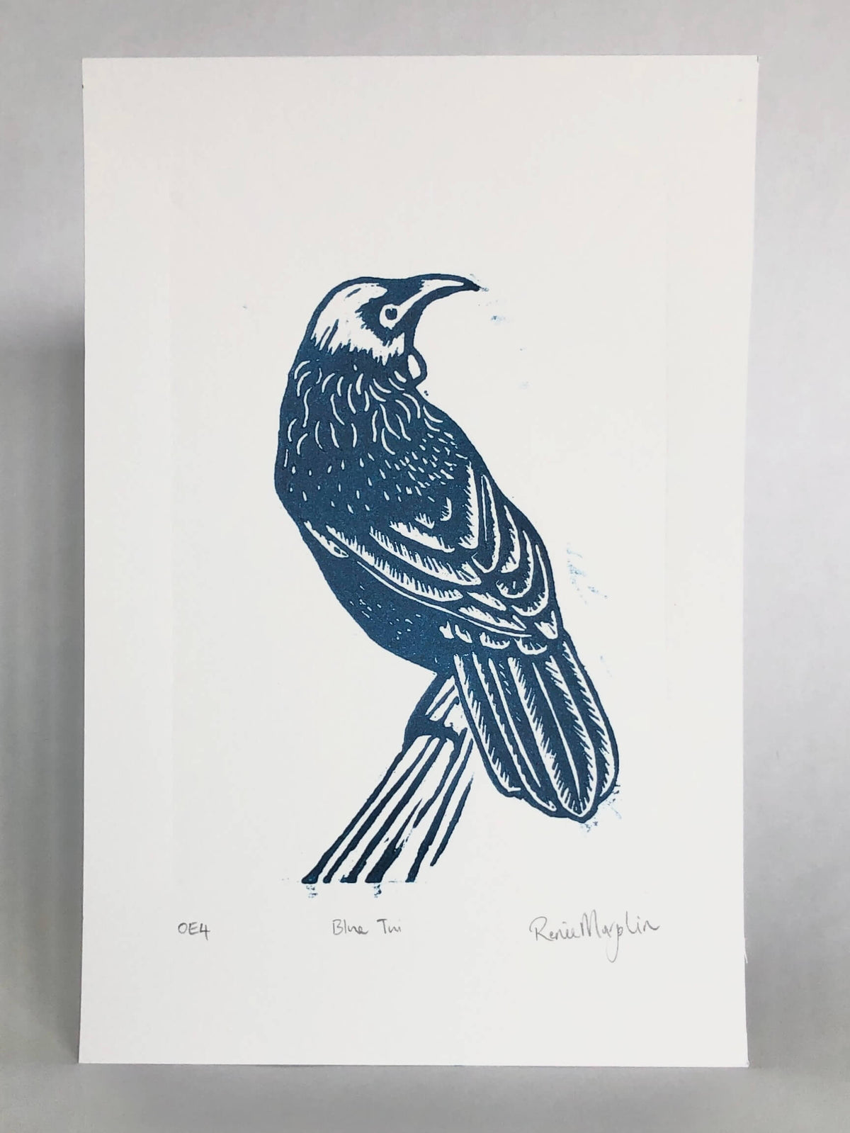 Blue Tui
