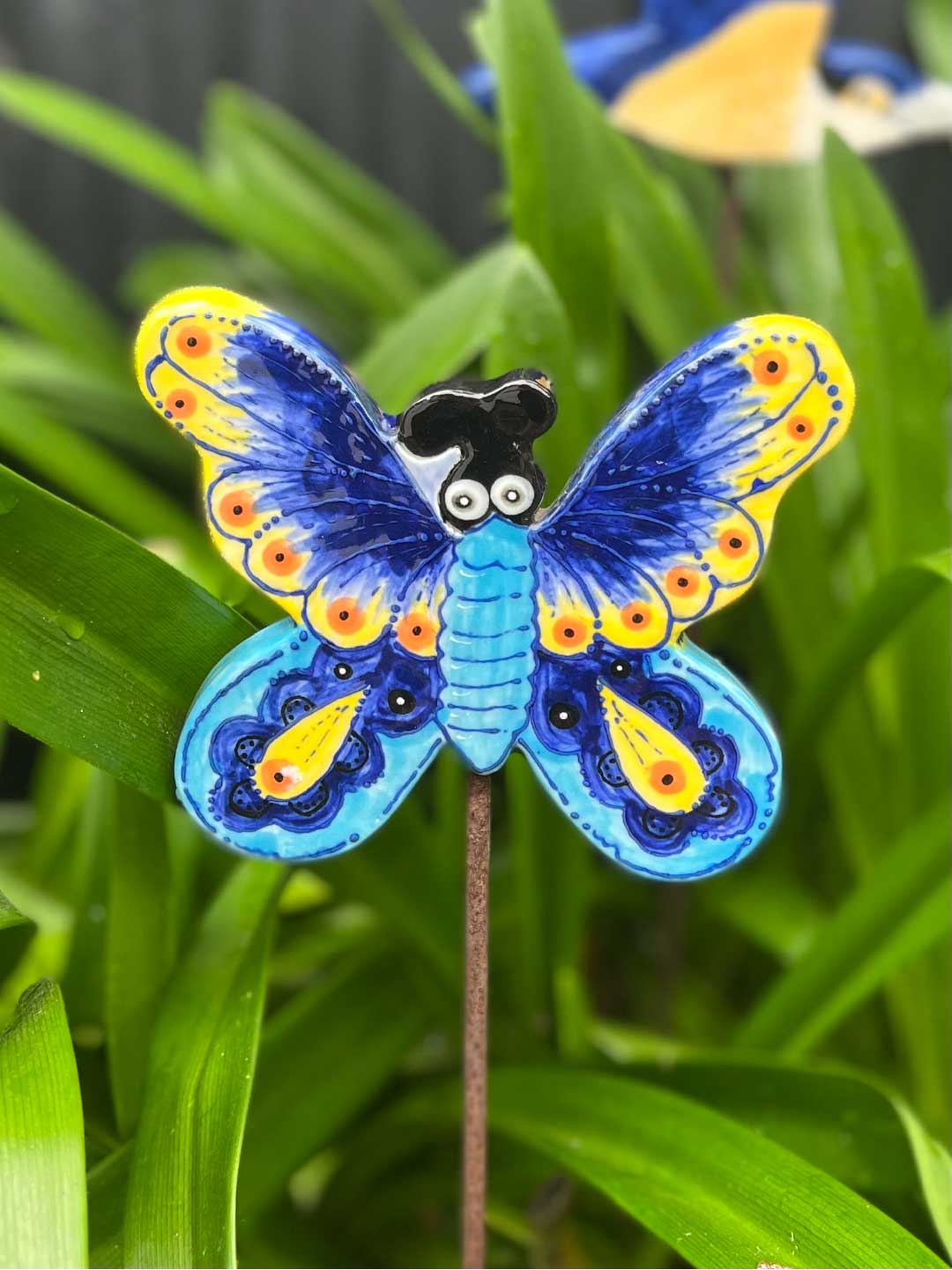 Blue butterfly