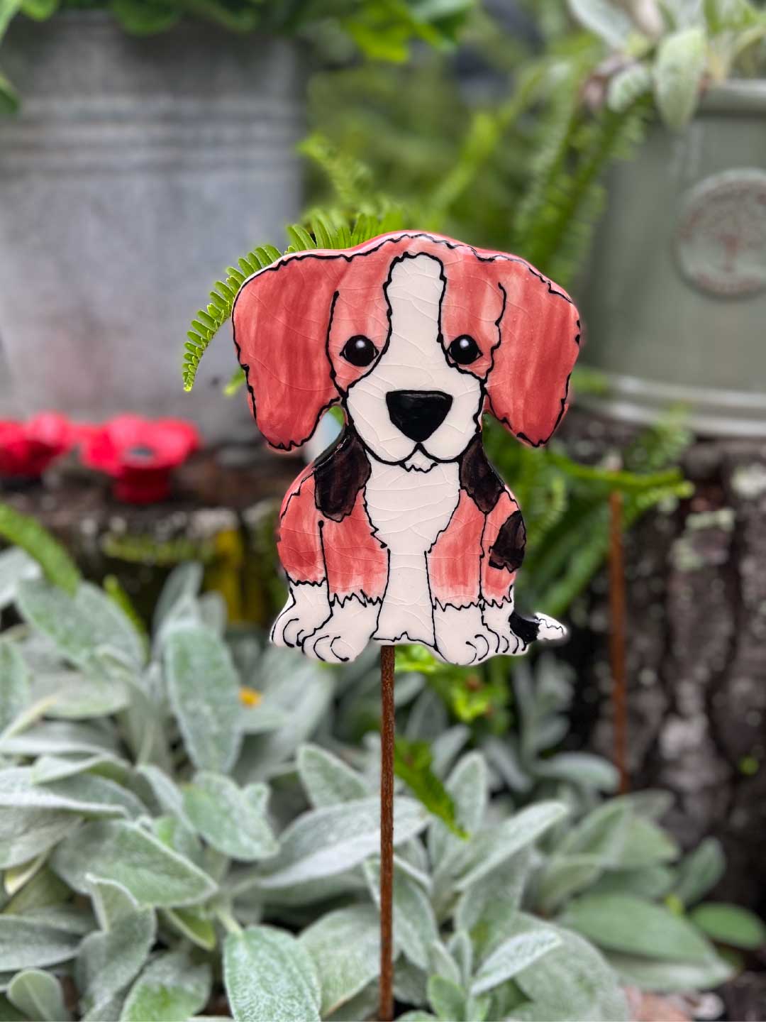 Beagle