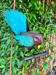 Fantail