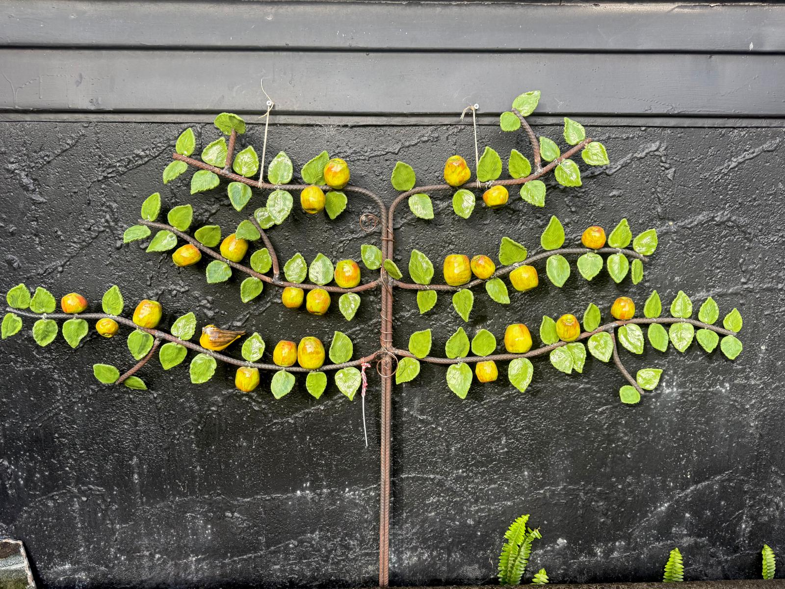 Apple Espalier